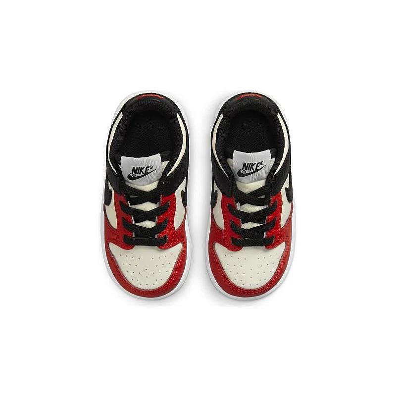 Nike Dunk Low EMB NBA 75th Anniversary Chicago (TD)