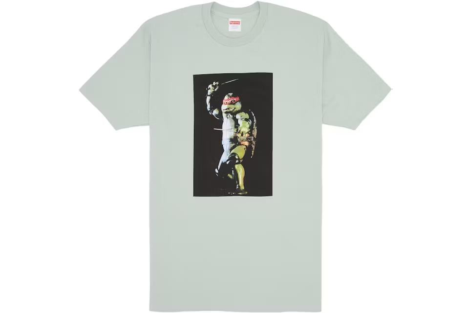 Supreme Raphael Tee
Pale Aqua Small