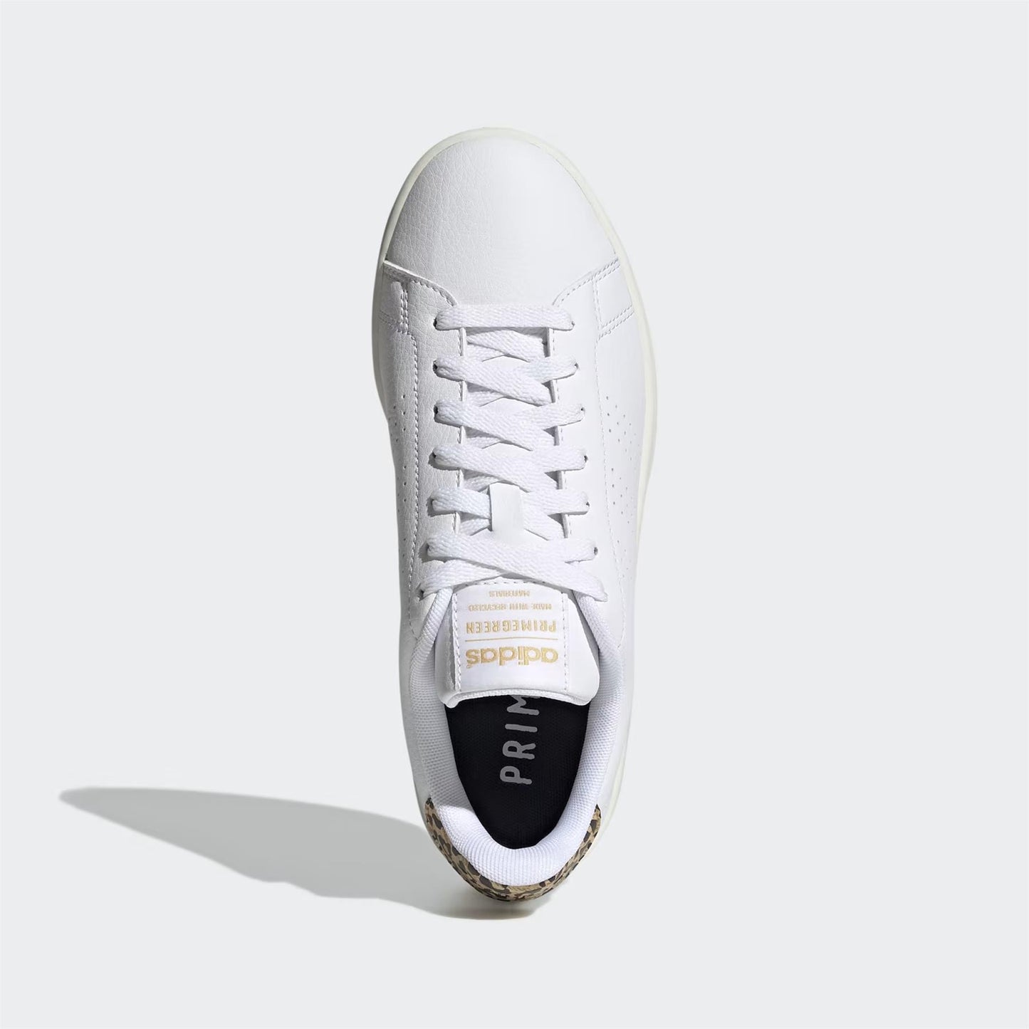 Adidas Advantage Cloud White White Tint (Women's) GW4850