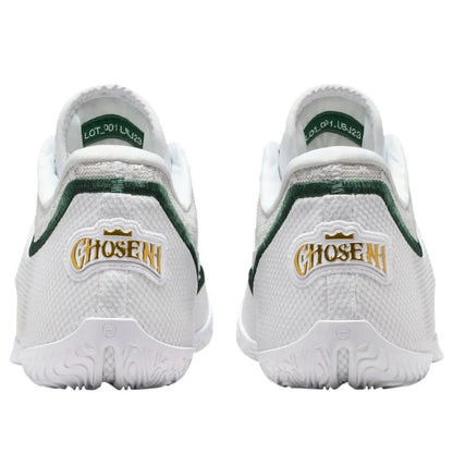 Nike LeBron 23 From This Point Forward