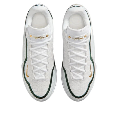 Nike LeBron 23 From This Point Forward