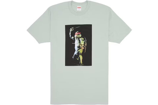 Supreme Raphael Tee 
Pale Aqua Small