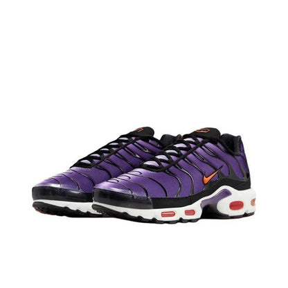 Nike Air Max Plus OG Voltage Purple (2024) Men's DX0755-500