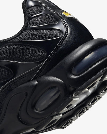 Nike Air Max Plus Triple Black