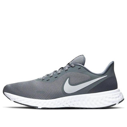Nike Revolution 5 Cool Grey Men's BQ3204-005