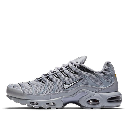 Nike Air Max Plus Wolf Grey size 11